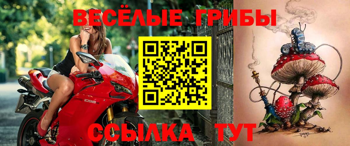 Псилоцибиновые грибы ЛСД Мегион