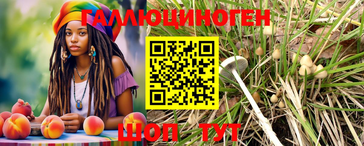 Галлюциногенные грибы Psilocybe  Вход с VPN  что такое   Мегион 